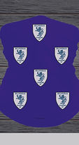 BILLINGHAM JUNIORS BUFF.jpg