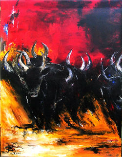 Taureaux de camargue