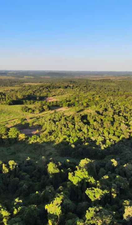 Luftbild des 100 Hektar umfassenden Geländes von Alma Hills – unberührte Natur, Waldreservate und großzügige Grundstücke aus der Vogelperspektive.