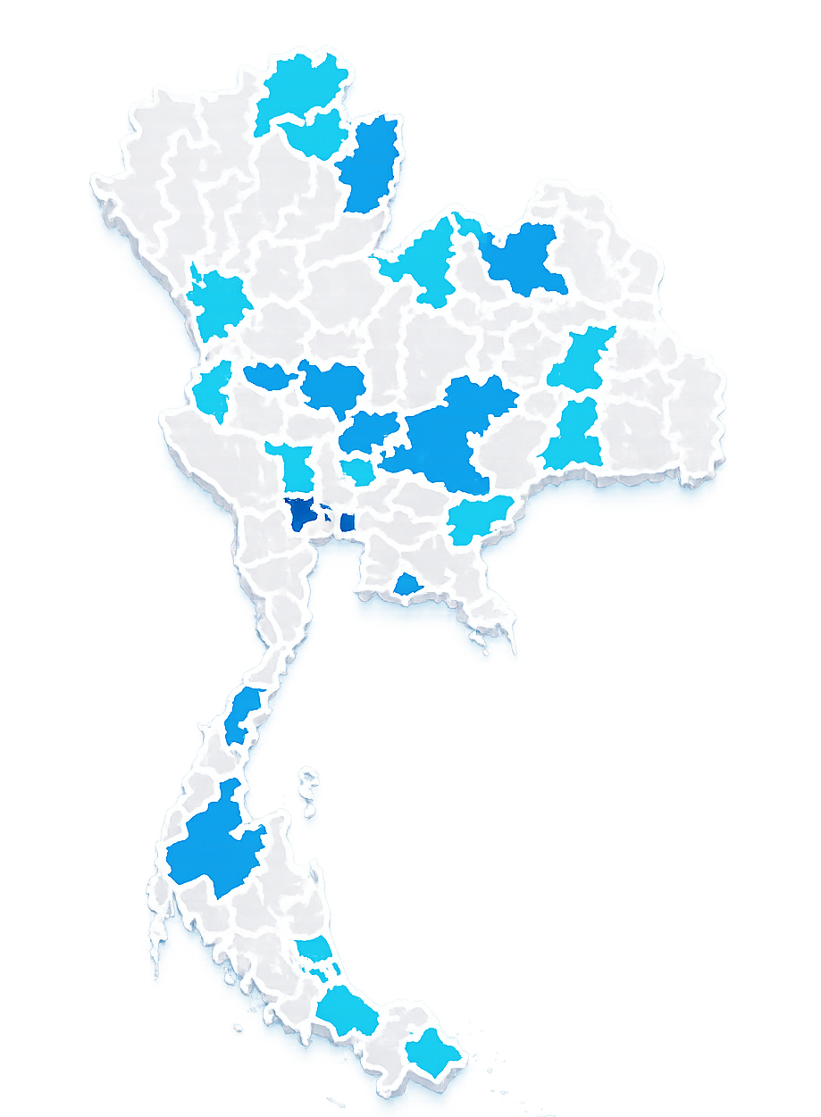 MAP CORTEX.png