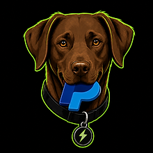 Lilly und PayPal
