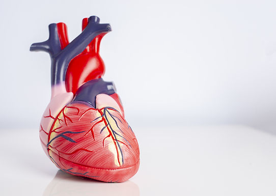 Check-up cardiovascular