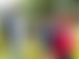 Damnificados de Los Alcarrizos 