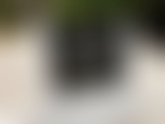 GoldQuest concluye primera etapa del parque ecológico Seboruco en San Juan