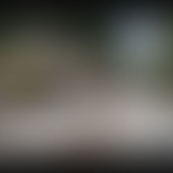 La patrulla del Monte celebró con un rotundo éxito el Rally “El Triangulo” en Constanza