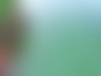 Sigue en curso investigación de Medio Ambiente sobre la coloración verde del agua en la presa de Hatillo