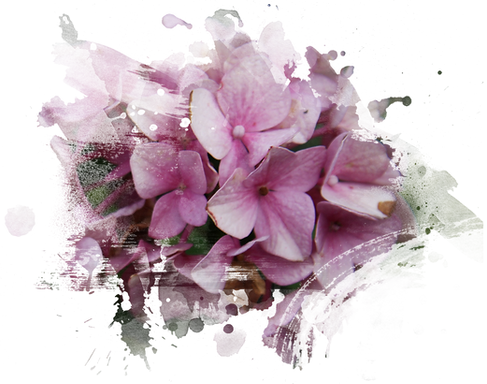 blumen_aquarell_web.png
