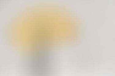 SMTT - 3.1: Sức mạnh vận hành kỳ diệu của tiềm thức