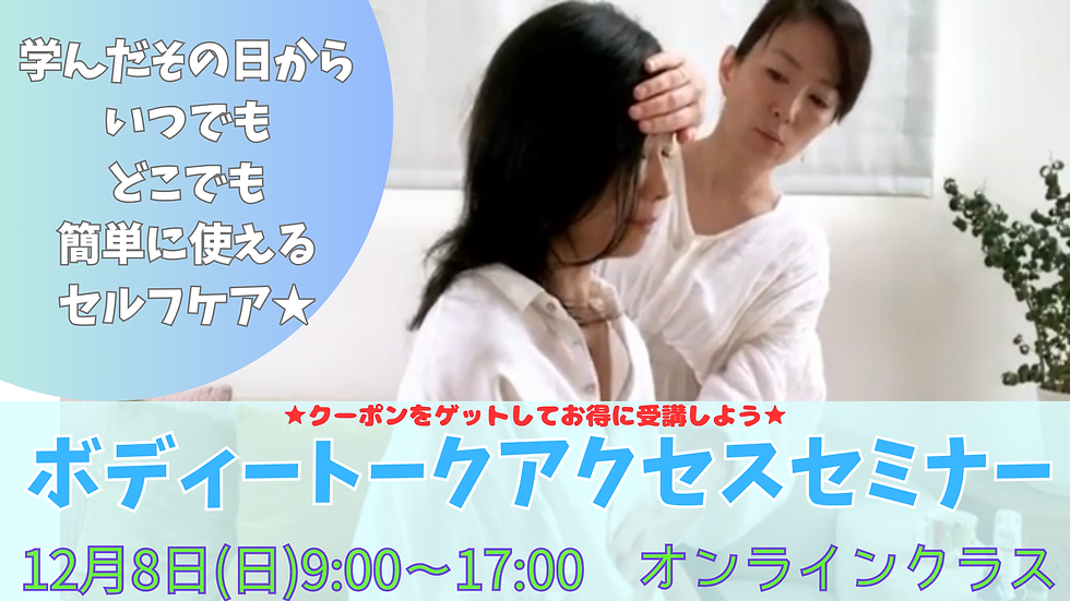 【チャリティー企画】12/8(日)9:00~17:00 ボディートークアクセスセミナー  