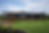 E64FFA17-B164-4771-9902-4BF9AA06ACF7.PNG