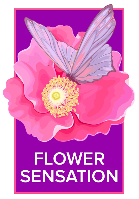 flowersensation-logo.webp