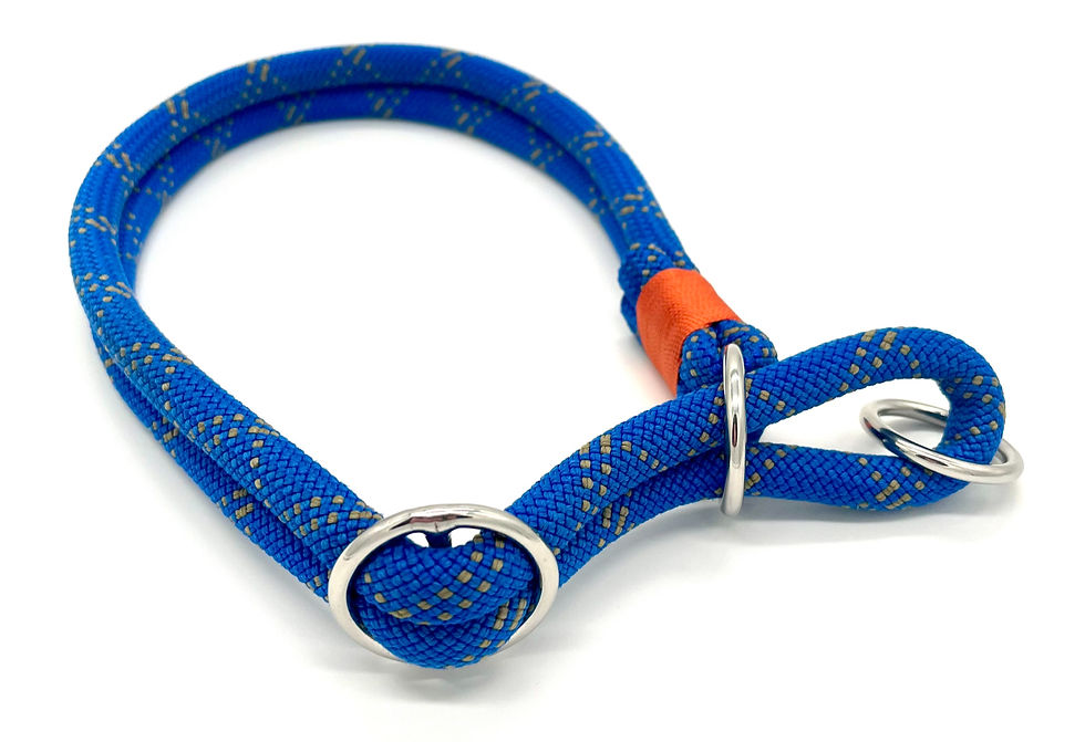 Zug-Stopp-Halsband 'Flow' in der Farbe 'blue orange'