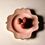 Thumbnail: Dessert Plate | Pink and Orange Sorbet