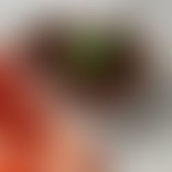 No Added Sugar Nutella