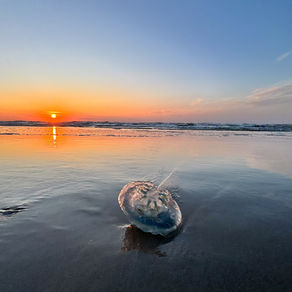 “Wanneer de zonsondergang tegenvalt, maar de zee verrast”