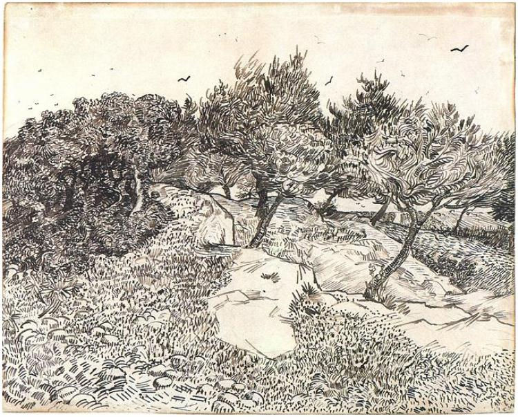 PIC6_Olive-Trees,-Montmajour.jpg