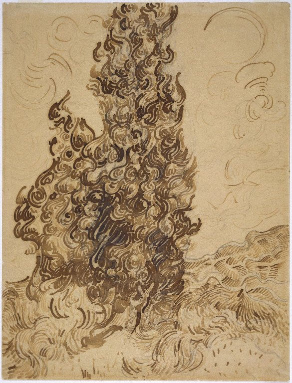 PIC9_cypresses-pencil-reed-pen-and-ink.jpg