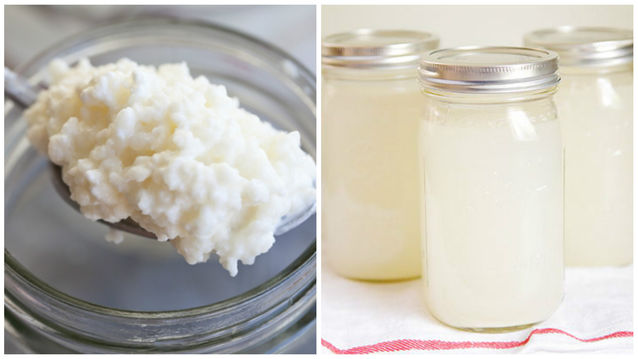 Como preparar o Kefir