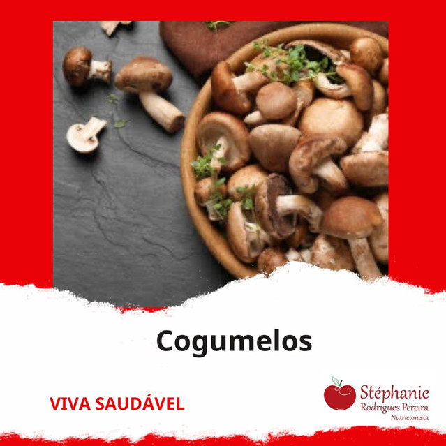 Cogumelos