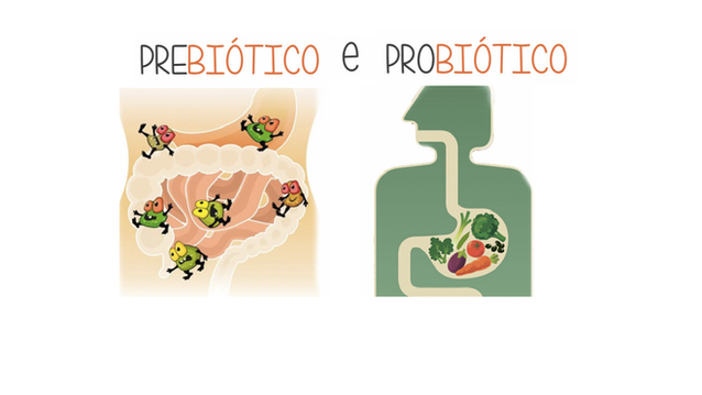 Probióticos X Prebióticos