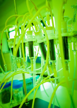 InvestigacaoTecnologiaLaboratorioCiencia_2015_fotoPN (8) Large