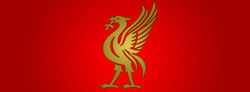 liverbird1.jpg