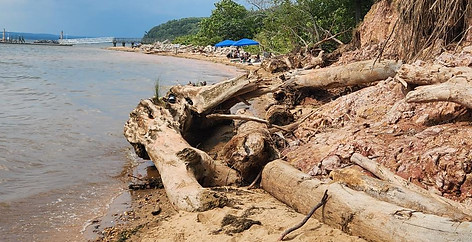 narcisstic abuse therapy nj.jpg