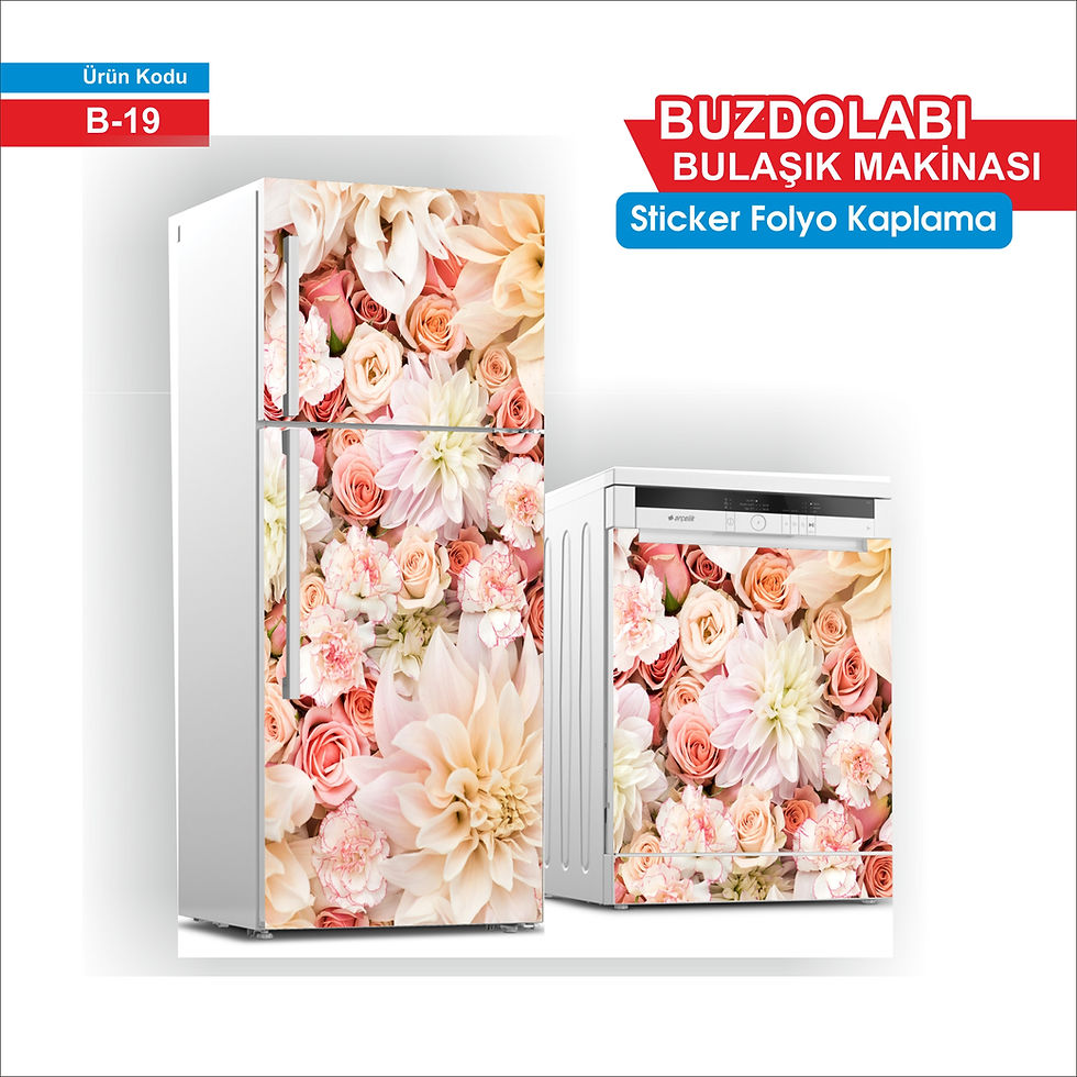 buzdolabi kaplama B19