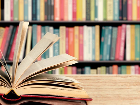 Melhores livros sobre pacote anticrime: bibliografia selecionada