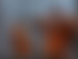 STJ: Atipicidade por fato de terceiro em falta grave – Reeducando não pode ser responsabilizad