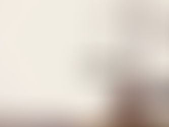 STJ decide sobre alteração por outra pena substitutiva