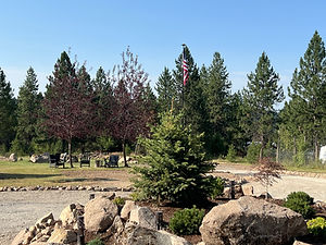 IMG_5867[1].jpeg