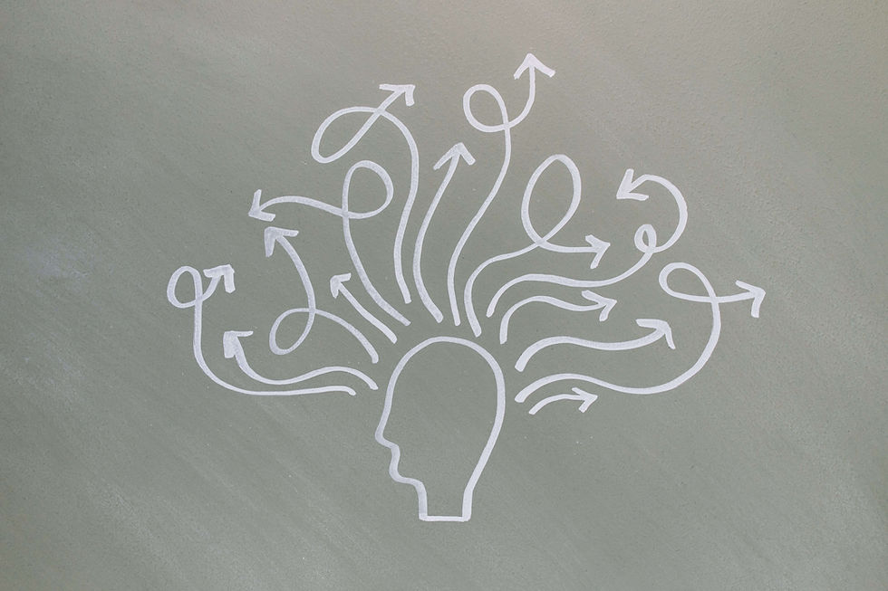 brain neuroplasticity