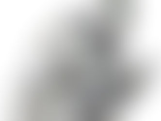 “Penso, logo existo”