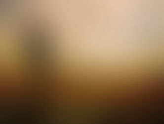 As barreiras que nos ensinam...