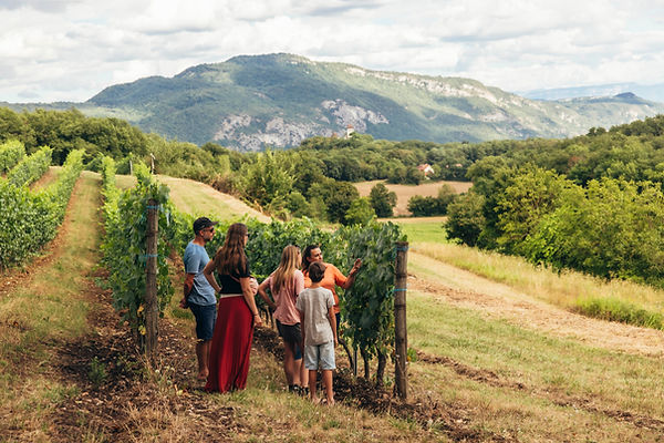 DomaineTrichon Plaine de lAin et Monts du Bugey