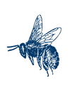 15_edited.png