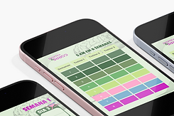 iPhone 15 Mockup Poster2.png