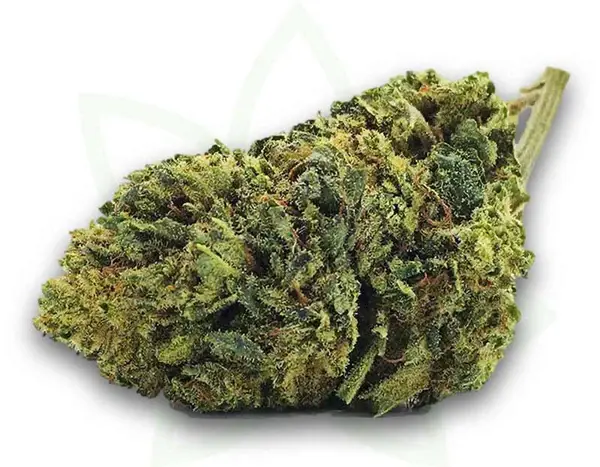 fleur de cbd runtz