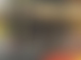 31:8 kanter Sieg beim ASV Mainz 88 II