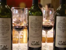 South America Uncorked: A Journey Through Wines