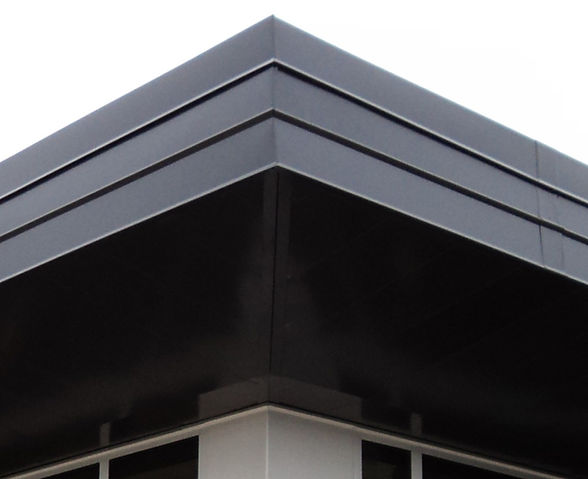 Coping & Fascia