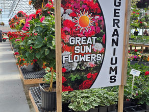Transform Your Projects with Large Format Printing