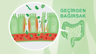Sağlığını Korumayı Öğren: Geçirgen Bağırsak