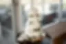 unnamed (1).webp