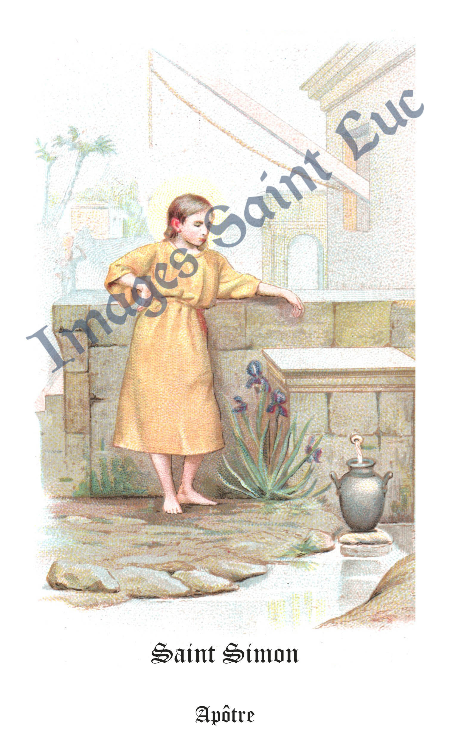 Saint Simon, Apôtre