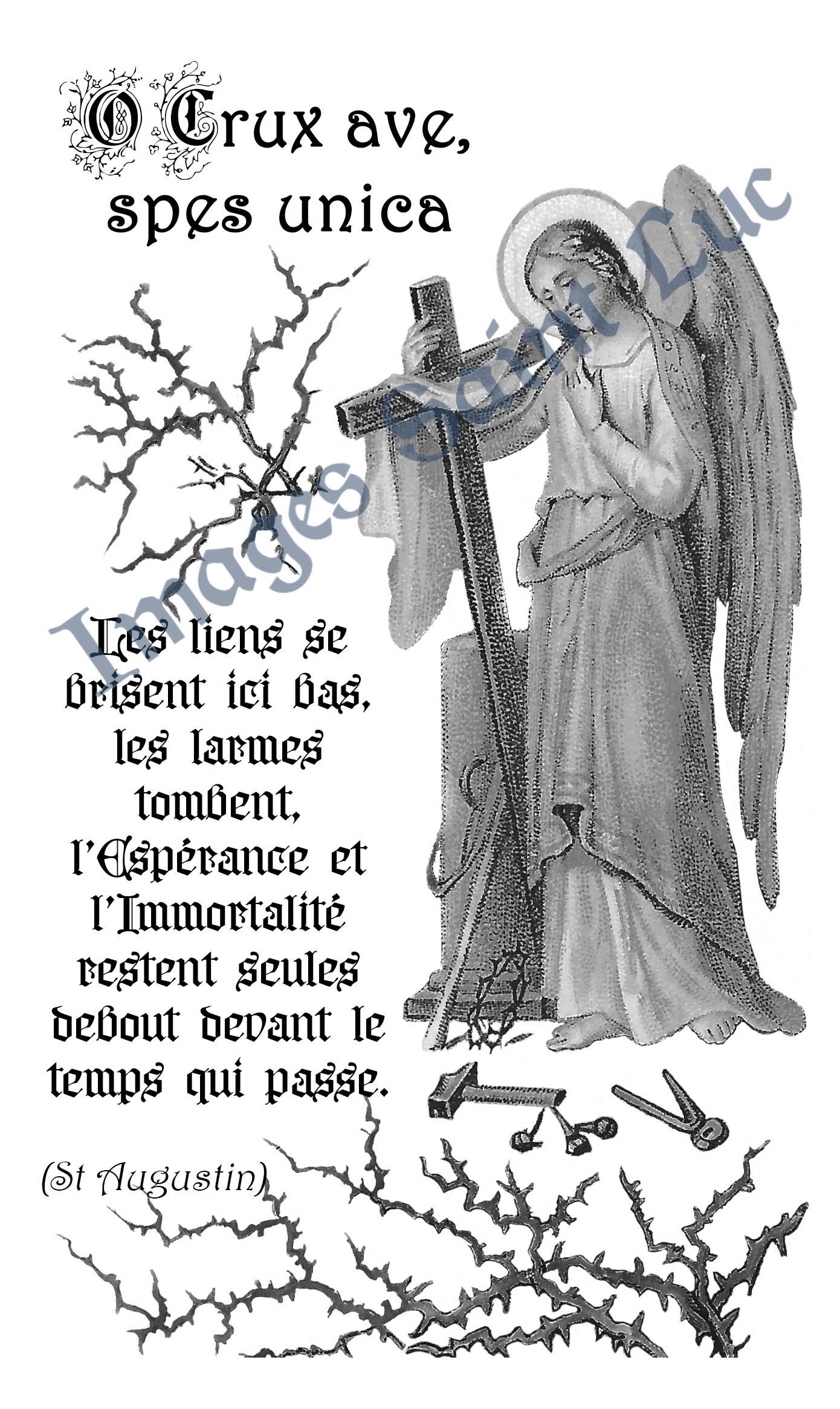 Espérance et Immortalité