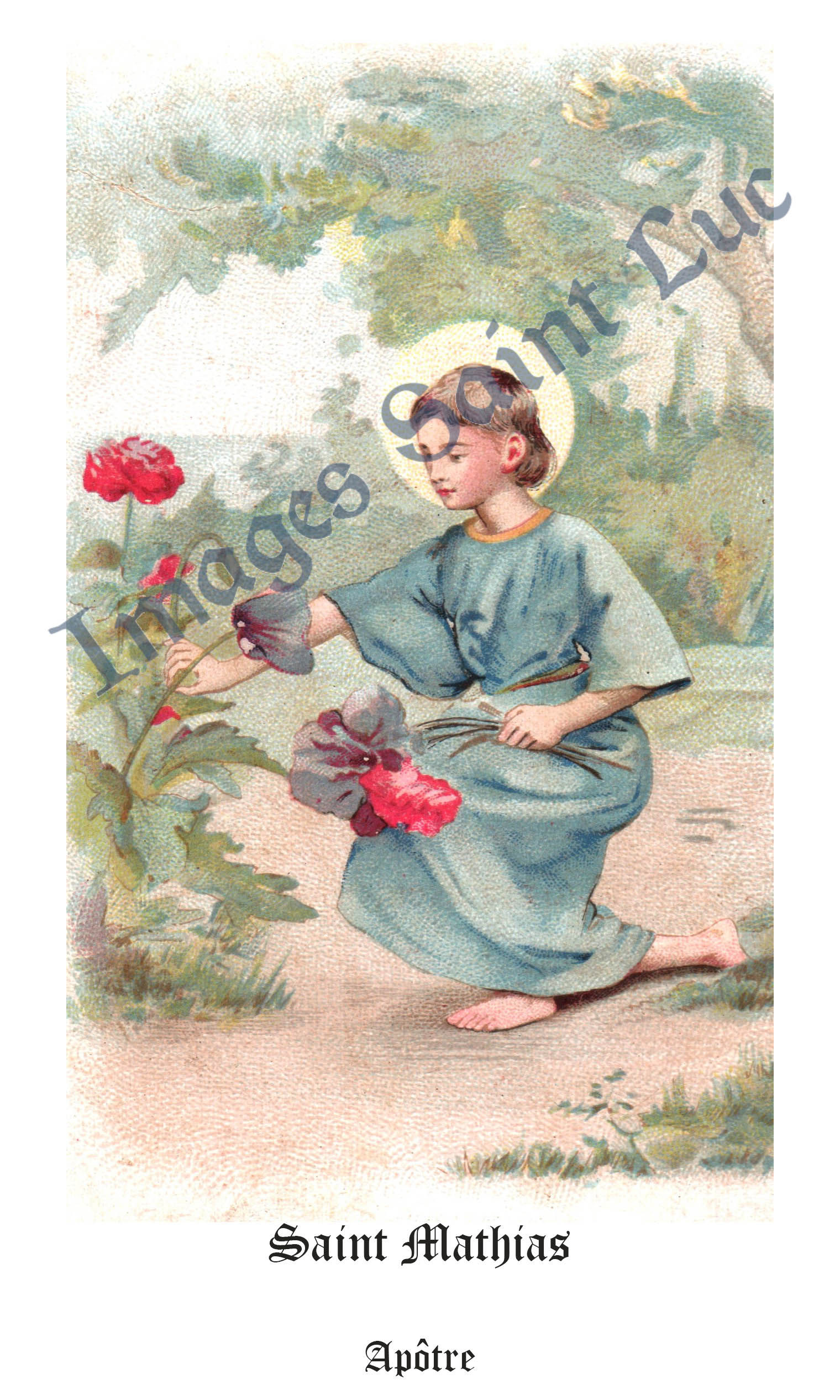 Saint Mathias, Apôtre