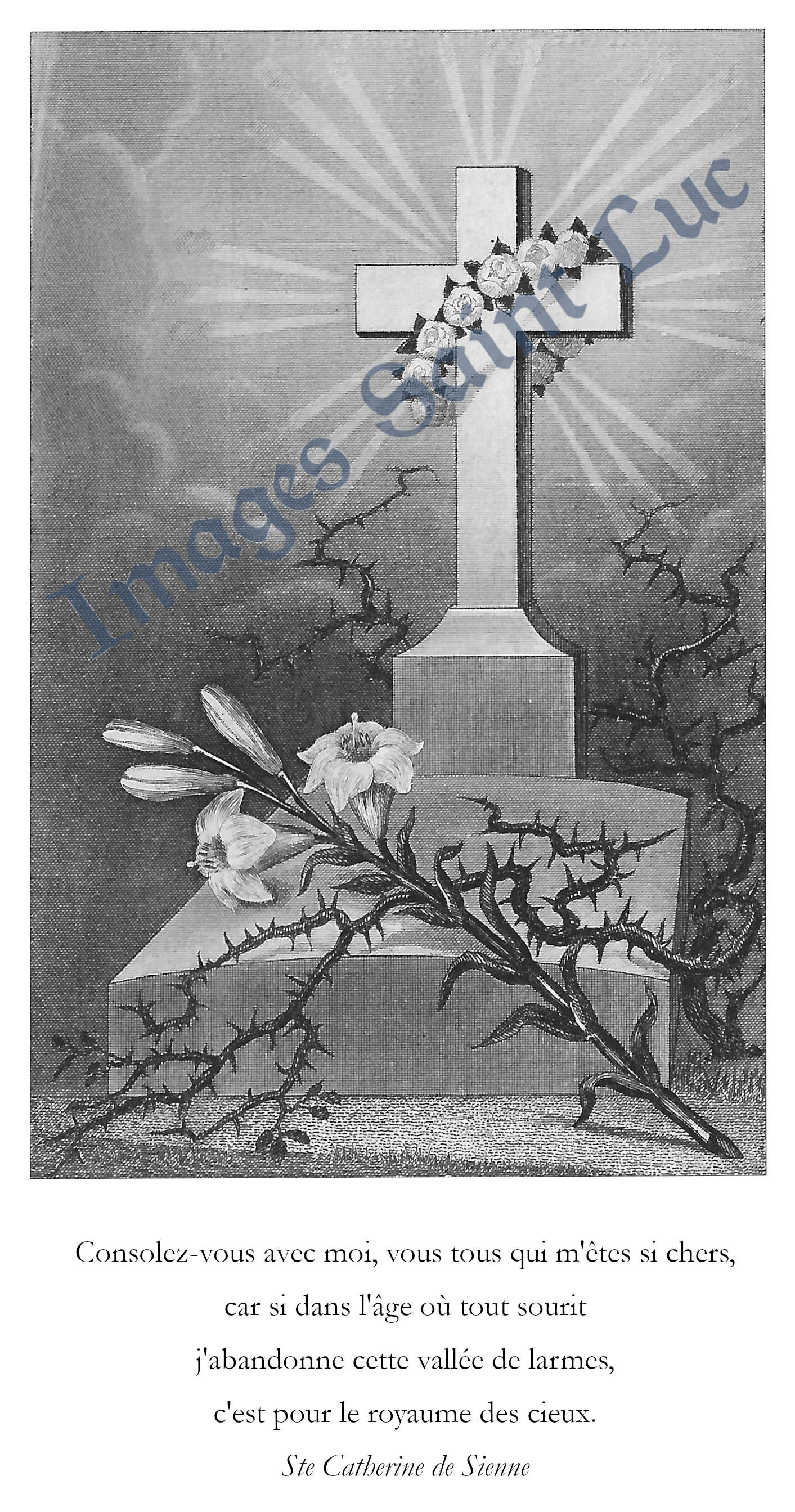 Le royaume des cieux