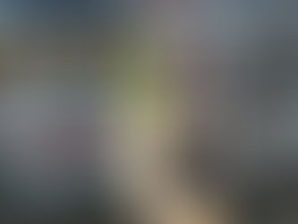 4 boxes of new Mary's gone crackers products: cookies and real thin crackers